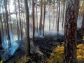 24. 3. 2022   U Husinecké přehrady - požár lesa